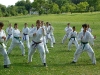 img00008