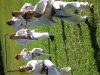 image050