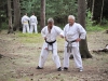 budislav2012-240
