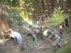 budislav2012-297