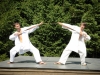 budislav2012-374
