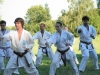 budislav2012-62