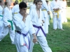budislav2012-68