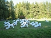budislav2012-81