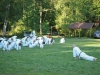 budislav2012-85