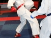 img00010