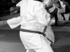 img00019
