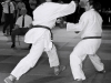 img00020