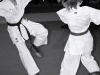 img00024