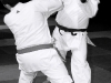 img00028