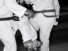 img00029