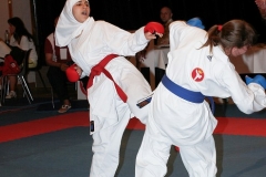 gp-hradec-kralove-2009