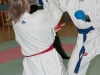 img00019