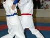 mcr-mladeze-2008