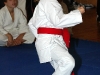 img00003