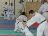 img00009
