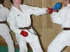 img00030