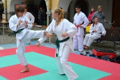Ukázky v Litomyšli na náměstí 2012
